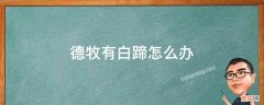 德牧幼犬有白蹄能去掉了 德牧有白蹄怎么办