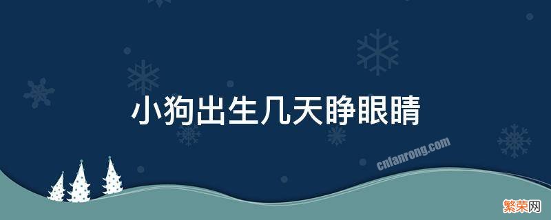 小狗出生几天睁眼睛天会吃东西 小狗出生几天睁眼睛