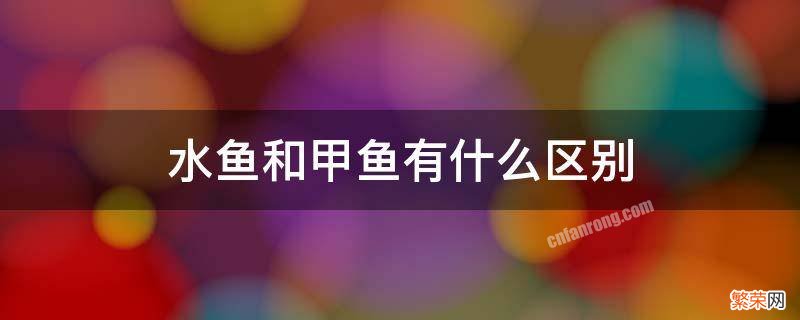 水鱼和甲鱼有什么区别 水鱼和甲鱼有什么不同?