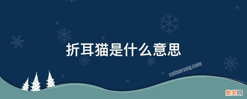 折耳猫是什么意思,和普通猫有什么区别吗 折耳猫是什么意思