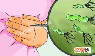 胃中螺旋杆菌传染途径 胃螺旋杆菌通过什么传染