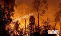 森林火灾发生的成因是 森林火灾发生的成因