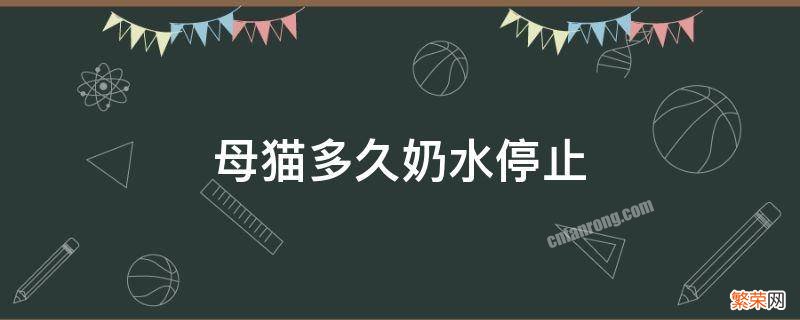 母猫多久会停奶 母猫多久奶水停止