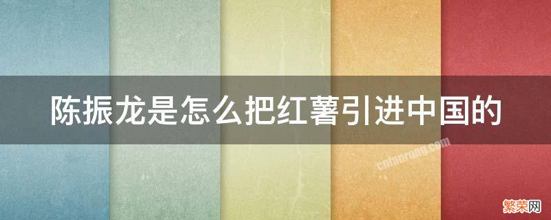 陈振龙是怎么把红薯引进中国的呢 陈振龙是怎么把红薯引进中国的