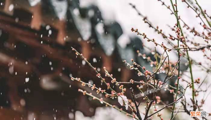 昆明的雨中心思想及主旨 昆明的雨主要内容和中心思想