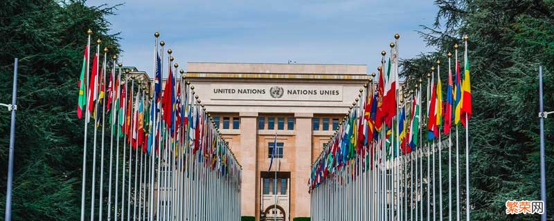 联合国的作用政治选修3 联合国的作用