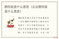 企业期权股是什么意思 期权股是什么意思