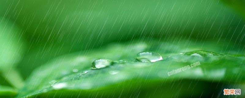 雨水是什么节气 雨水是啥节气