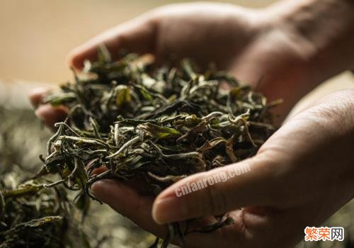 过期茶叶能不能煮茶叶蛋 过期的茶叶可以煮茶叶蛋吗