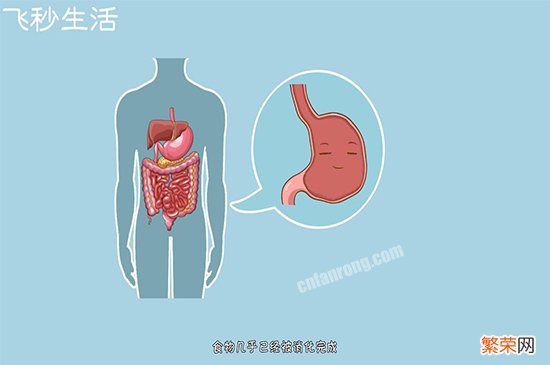 饭后多久可以运动