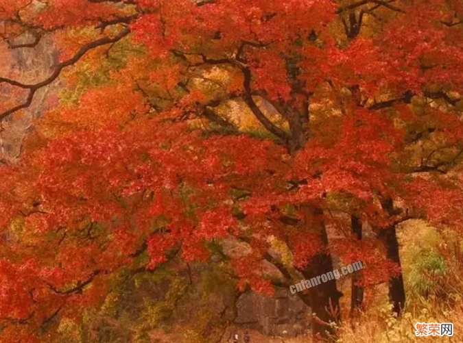 盘点温州秋天适合去游玩的地方 温州地区十大秋季旅游景点推荐