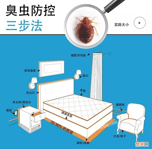 臭虫怎么消灭用什么药【臭虫防控三步法】