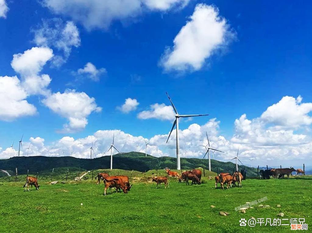 乌鲁木齐六个必去的经典美景 乌鲁木齐市区必去景点