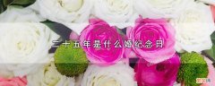 二十五年属于什么婚 二十五年是什么婚纪念日