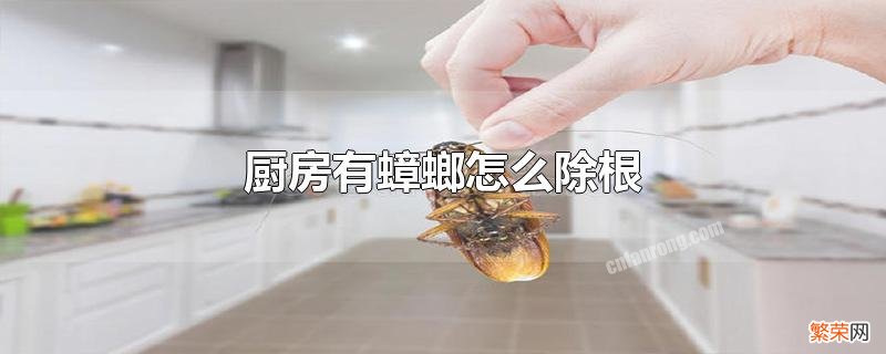 如何避免蟑螂出现 厨房有蟑螂怎么除根