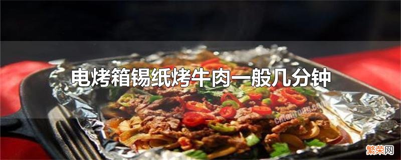 电烤箱烤锡纸牛肉时间和温度 电烤箱锡纸烤牛肉一般几分钟