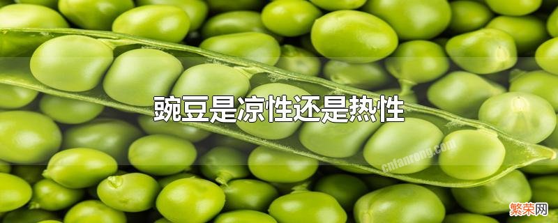 豌豆是凉性还是热性