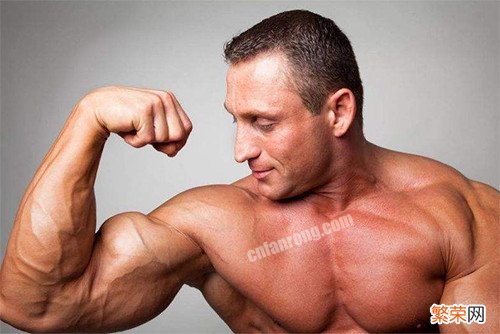 肱二头肌锻炼方法无器械【3个徒手练出肱二头肌的方法】