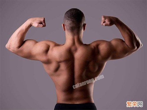 肱二头肌锻炼方法无器械【3个徒手练出肱二头肌的方法】
