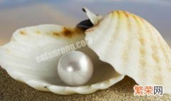 海水珍珠有哪些种类图片 海水珍珠有哪些种类