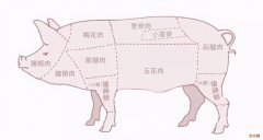 里脊肉是什么肉是哪个部位【猪肉各部位特点和做菜选择盘点】