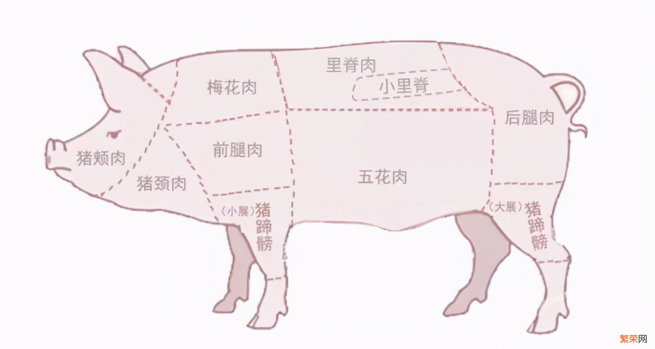 里脊肉是什么肉是哪个部位【猪肉各部位特点和做菜选择盘点】