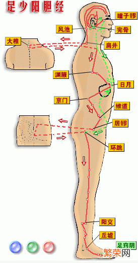 十二经脉循行要穴大全 全身十二经络高清图