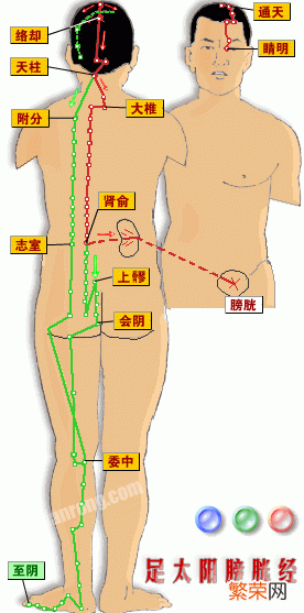 十二经脉循行要穴大全 全身十二经络高清图