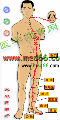 十二经脉循行要穴大全 全身十二经络高清图