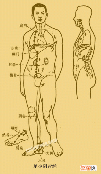 十二经脉循行要穴大全 全身十二经络高清图