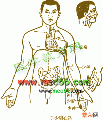 十二经脉循行要穴大全 全身十二经络高清图