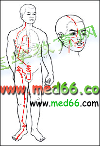 十二经脉循行要穴大全 全身十二经络高清图