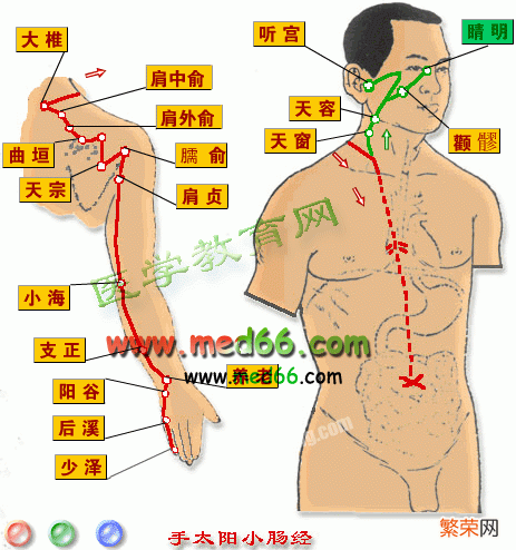 十二经脉循行要穴大全 全身十二经络高清图