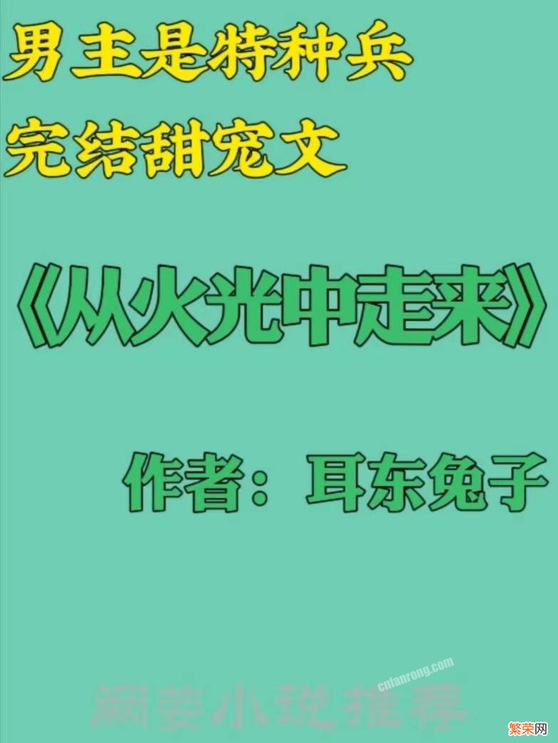 男主是特种兵糙汉的小说,盘点13本男主特种兵完结高人气的现言甜宠文