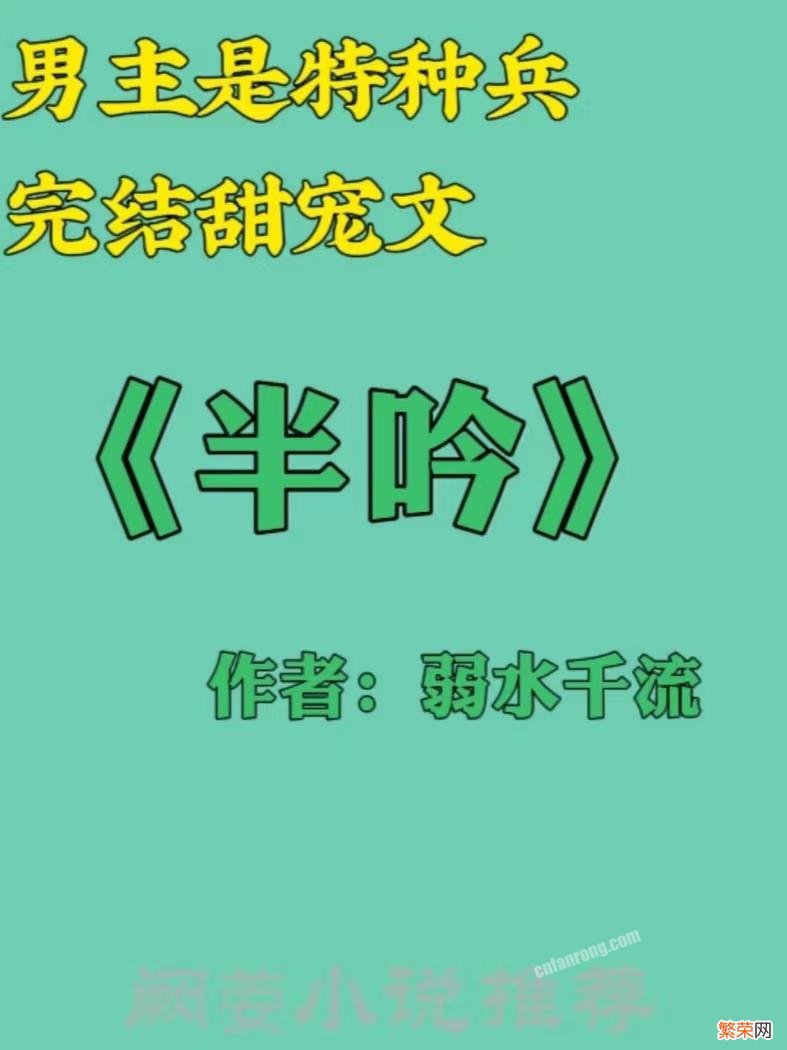 男主是特种兵糙汉的小说,盘点13本男主特种兵完结高人气的现言甜宠文