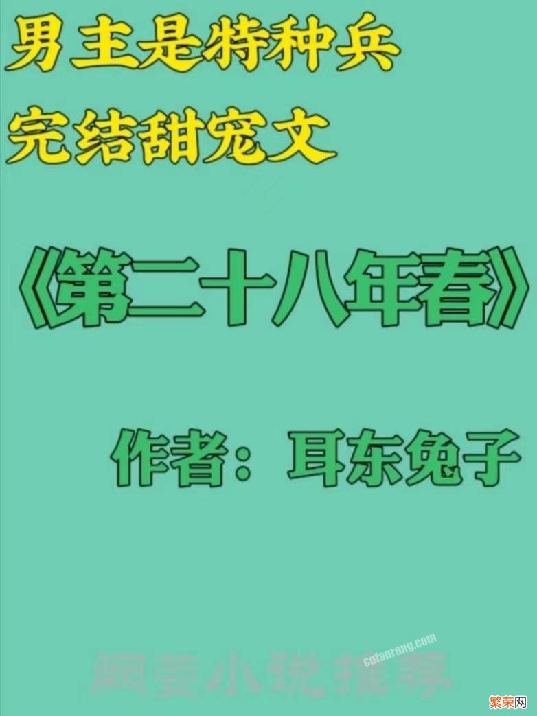 男主是特种兵糙汉的小说,盘点13本男主特种兵完结高人气的现言甜宠文