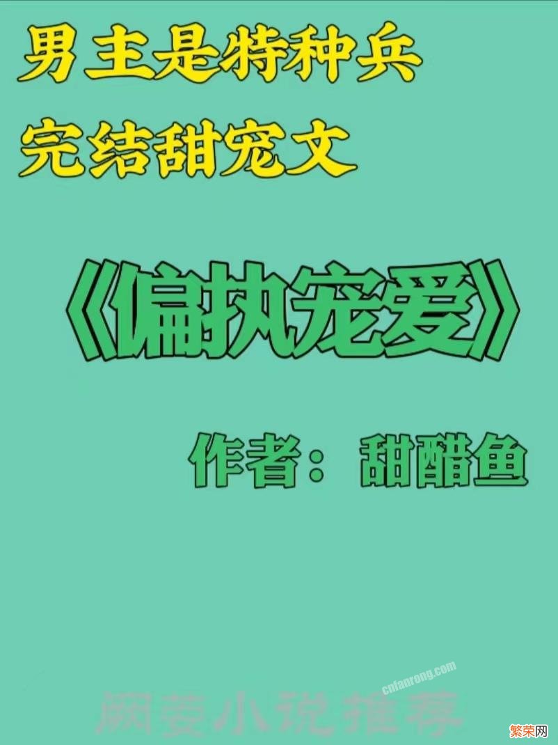 男主是特种兵糙汉的小说,盘点13本男主特种兵完结高人气的现言甜宠文