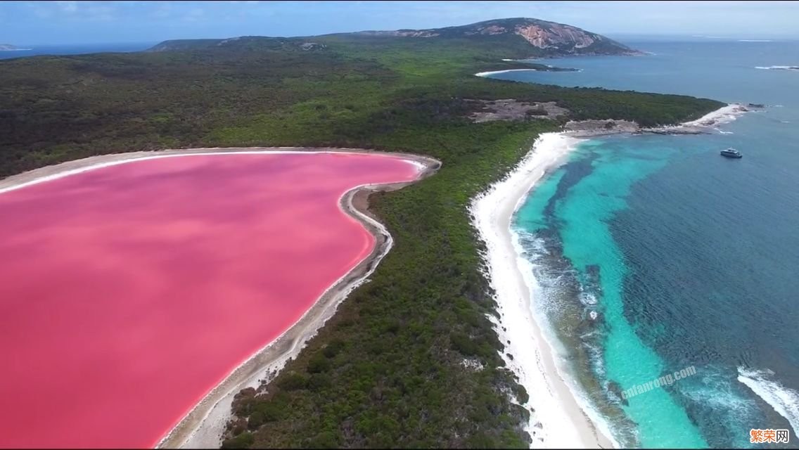 粉红希勒湖简介 希勒湖在哪里