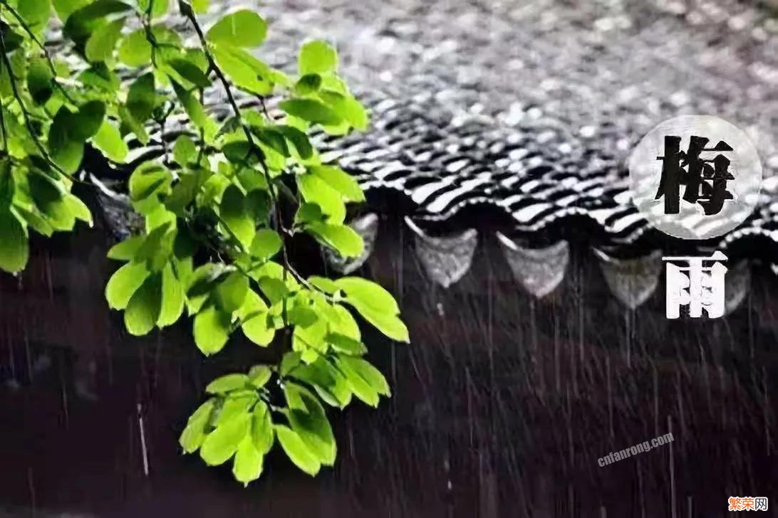 南方梅雨季节是什么时间「梅雨季节的由来和起止时间盘点」