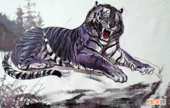 黑蓝虎是什么虎【黑蓝虎真实存在吗】