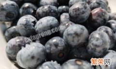 蓝莓的种植 蓝莓种植知识