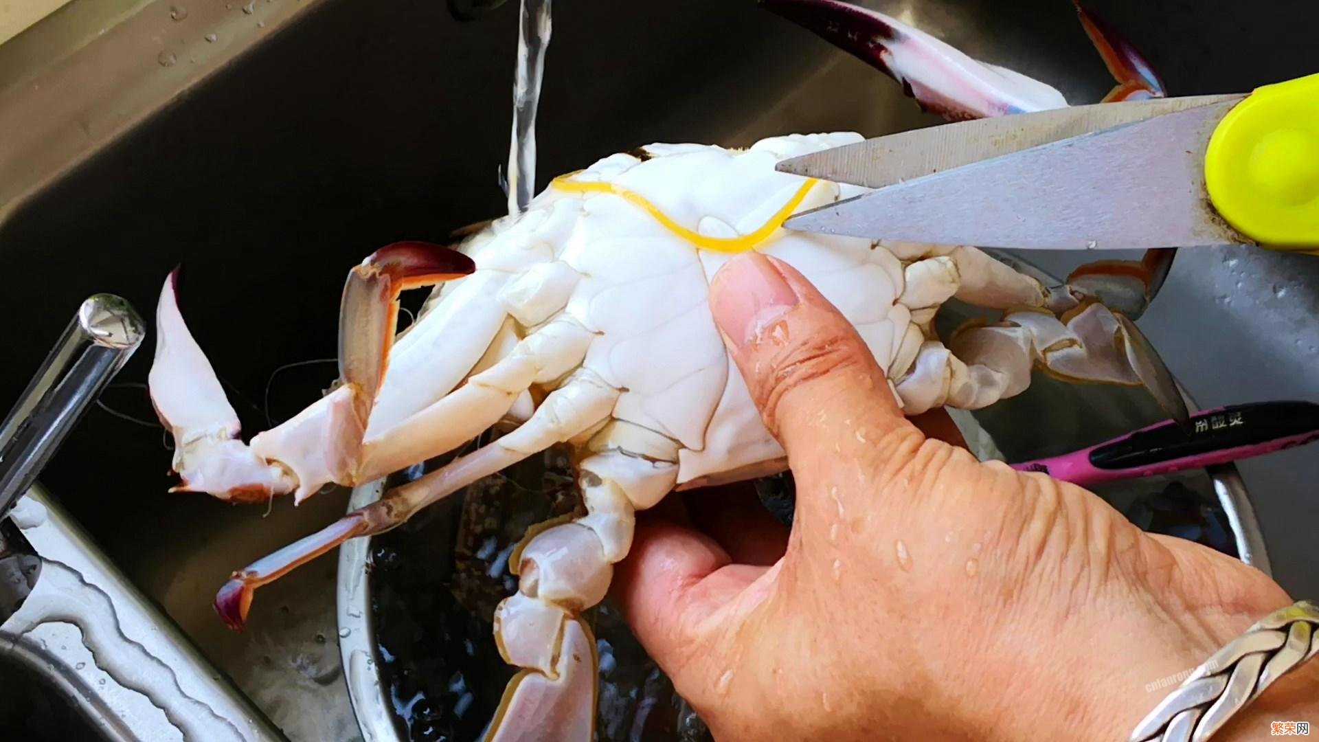 蒸螃蟹不流黄不掉腿的方法 蒸螃蟹需要多长时间