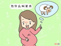 为什么孕育胎儿的液体叫＂羊水＂，而不叫“人水”“牛水”？