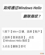 怎么关闭win10开机密码验证 win10怎么取消指纹开机登录