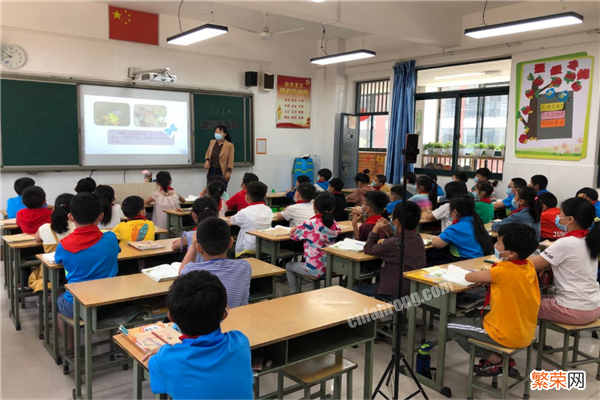 长春市十大公立小学排名榜 长春重点公立小学有哪些