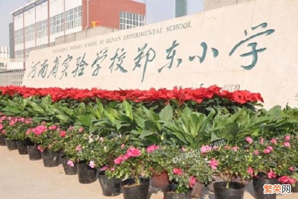 郑州私立小学排名前十名 郑州私立小学有哪些