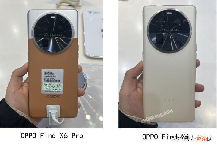 OPPO Find X6 和 Find X6 Pro不同之处 oppo find x6pro和oppo find x6哪个好