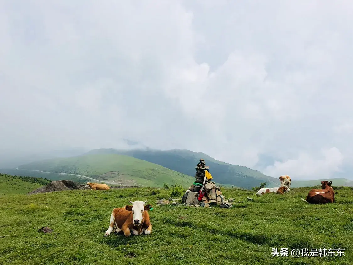 亲身感受总结的两天出游攻略！ 五台山旅游攻略分享