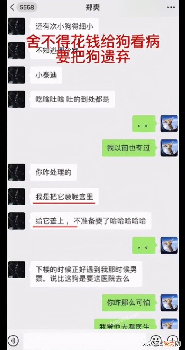 郑爽和张恒事件怎么回事？一步步牵出了娱乐圈的惊天大瓜