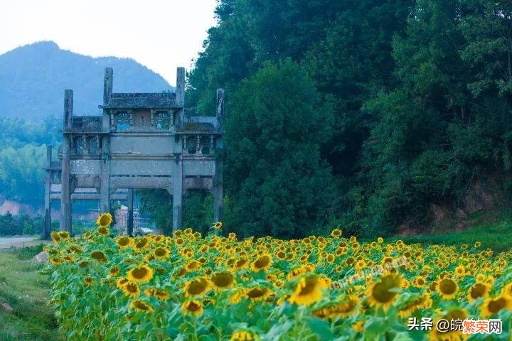 安徽旅游必去十大景点 9月安徽最值得去的10个地方